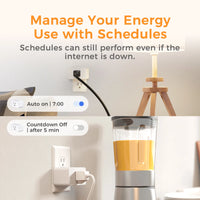 Refoss 15A HomeKit Smart Plug Mini WiFi Socket US Version App Remote Voice Control Support Alexa Google Assistant