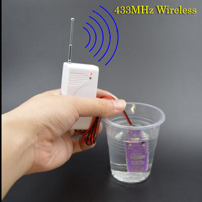 Wired & Wireless Security Alarm