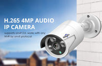 Audio Security Surveillance Camera